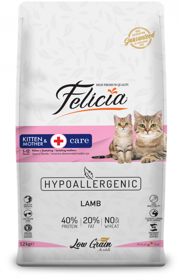Felicia Kitten & Mother Care Lamb Felicia Kitten & Mother Care Lamb